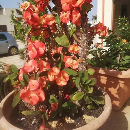 Casa Da Samuele Appartement