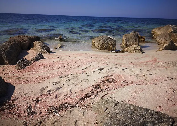 Apartamento Casa Da Samuele *